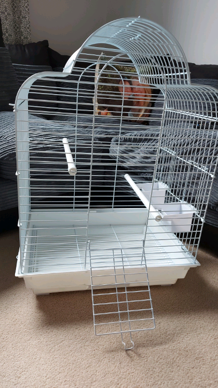 budgie cages gumtree